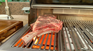 Kokomo infrared sear burner product detail