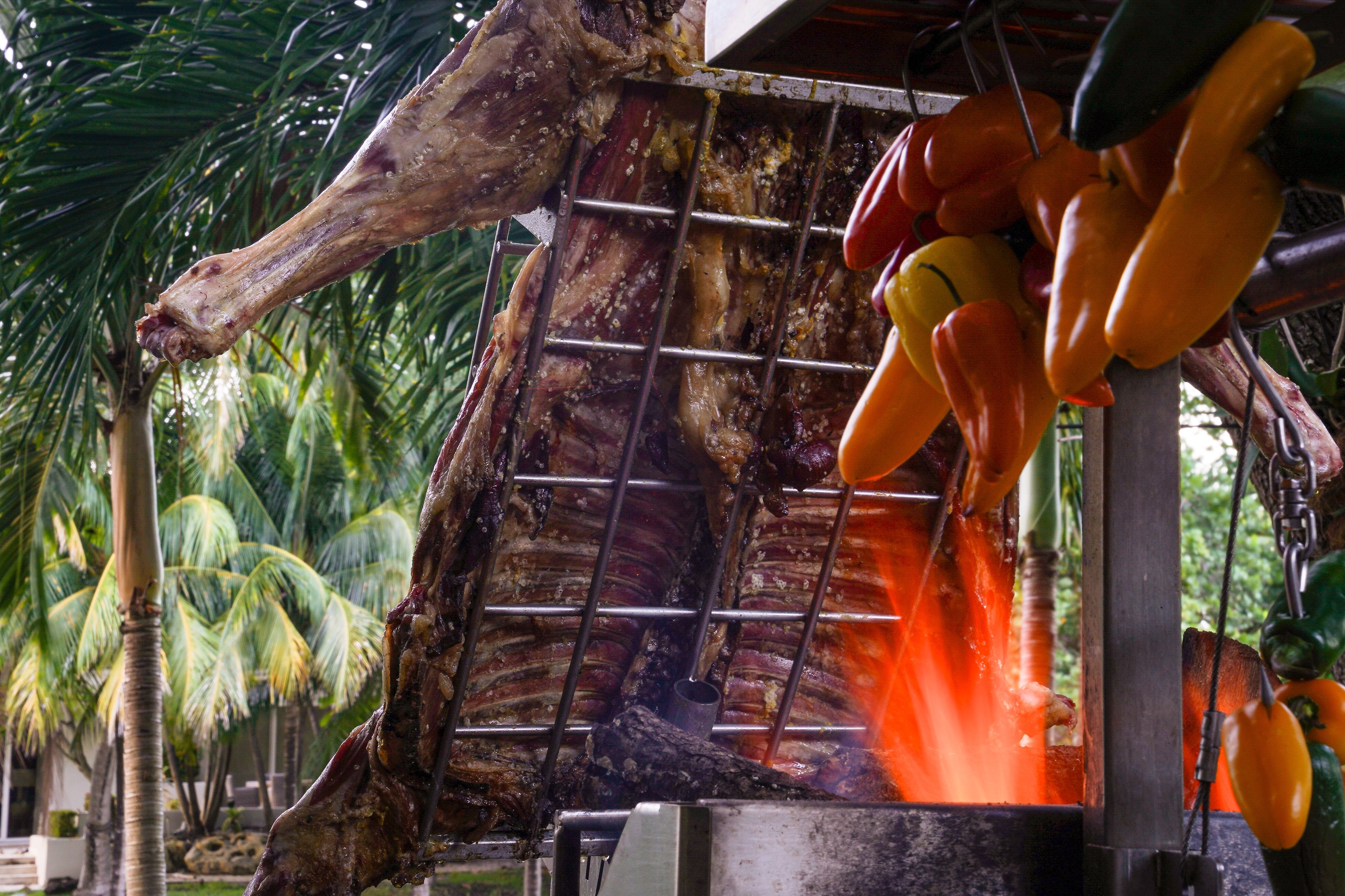 Large piece of meat cooking over outdoor fire - Smokeforges
