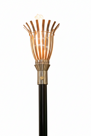 fire torch