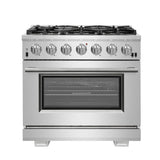 Stainless Steel