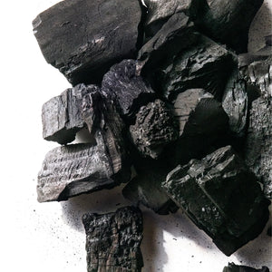 Kamado Joe Big Block XL lump charcoal hardwood pieces