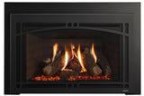 Majestic Ruby Platinum 30 gas insert with black contemporary arch front and small surround
