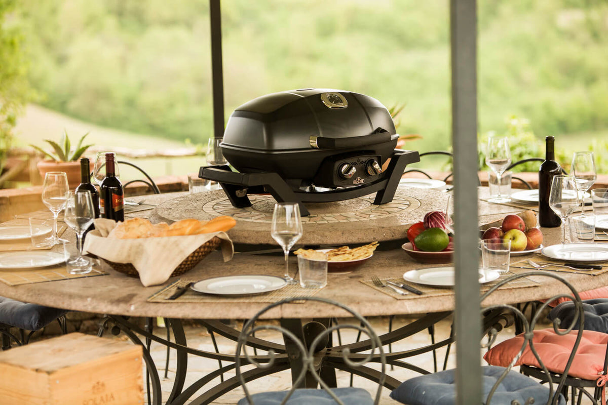 Napoleon TravelQ PRO285 Natural Gas Grill - Black - Napoleon portable outdoor grill product and lifestyle image