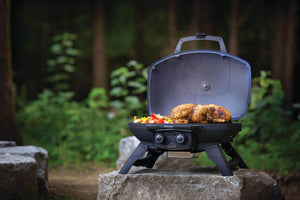Napoleon TravelQ 285 Portable Propane Grill - Blue - Napoleon portable outdoor grill product and lifestyle image