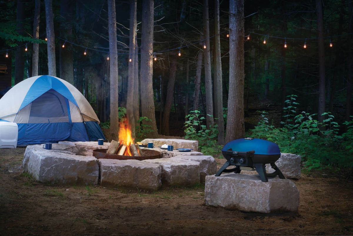 Napoleon TravelQ 285 Portable Propane Grill - Blue - Napoleon portable outdoor grill product and lifestyle image