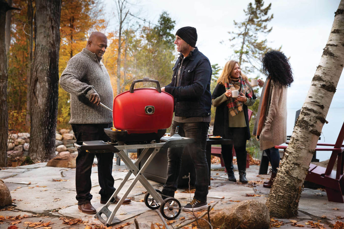 Napoleon TravelQ 285X Propane Grill with Cart & Griddle - Red - Napoleon portable outdoor grill product and lifestyle image