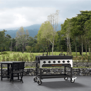 Blackstone 48-Inch Catering Griddle — outdoor patio setting