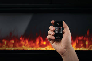 Napoleon Entice 60 included remote control in use